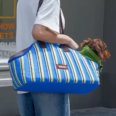 Mala de transporte para cão às riscas azul e verde com cão castanho dentro