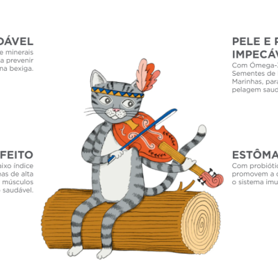 Gato cinzento a tocar violino sentado num tronco com texto informativo em português
