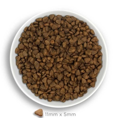 Ração seca castanho escura em tigela branca com dimensão 11mm x 5mm