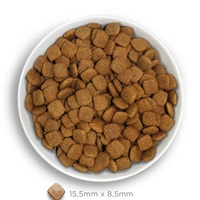 Tigela branca cheia de ração castanha seca para animais, com peça quadrada e dimensão indicada.