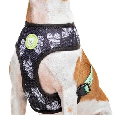 Cão com peitoral preto com padrão de folhas brancas e emblema verde