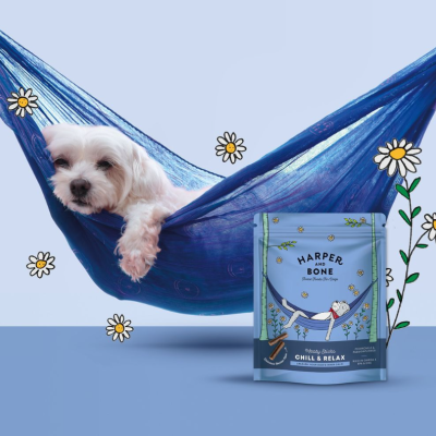 Saco de petisco para cães Harper Bone azul ao lado de cão branco pequeno na rede azul com flores desenhadas