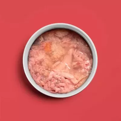 Lata aberta de comida húmida em gelatina sobre fundo vermelho