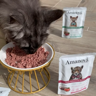 Gato a comer comida húmida de gato Amanova com três embalagens no chão de tijoleira clara