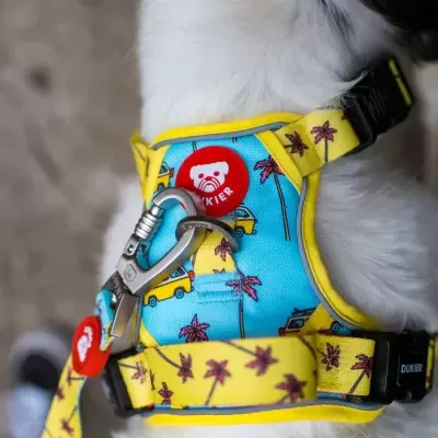 Coleira e peitoral para cão com padrão azul e amarelo e detalhes de palmeiras e carrinhas