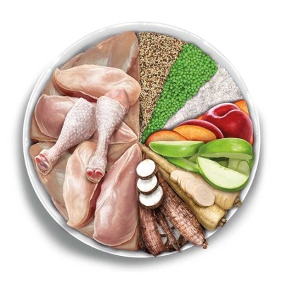 Prato dividido com frango cru, arroz, ervilhas, quinoa, cenoura, maçã e legumes variados