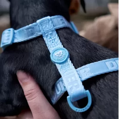 Arnês azul claro para cão de náilon ajustável com fecho DUX