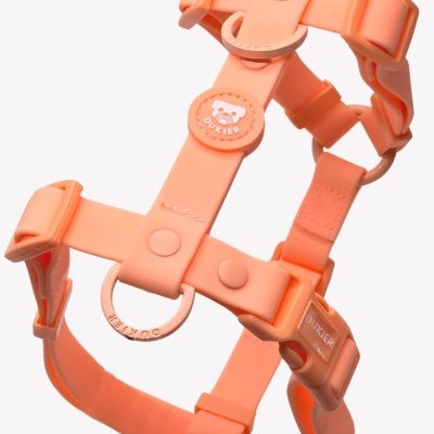 Peitoral para cão salmão com fivelas e argolas metálicas