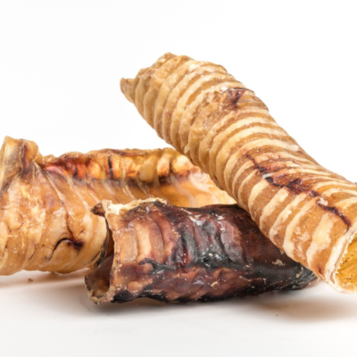 Três snacks para cães tipo tripa seca enrolada em fundo branco