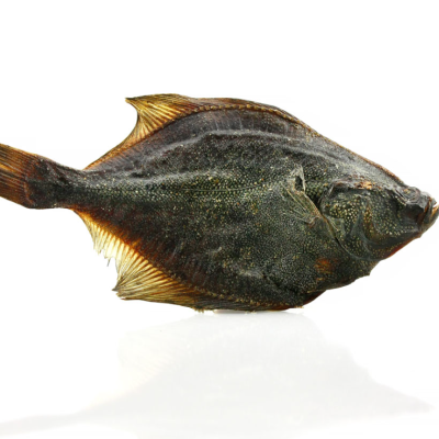 Peixe inteiro escuro com barbatanas amareladas em fundo branco