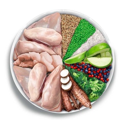 Tigela branca com frango cru, quinoa, legumes, frutas e raízes organizados em seções distintas