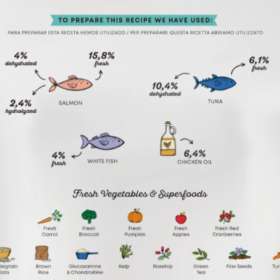 Ilustração de ingredientes para receita com peixes, óleo de frango e vegetais frescos e superalimentos