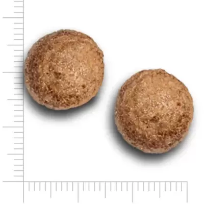 Duas bolinhas castanhas com 15 mm de diâmetro e regua em fundo branco