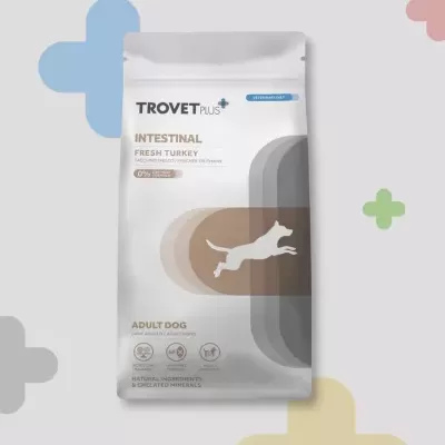 Saco de ração para cão adulto com design branco e castanho