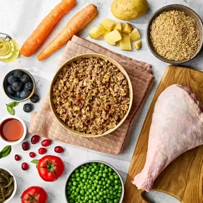 Ingredientes variados para refeição, incluindo carne crua, arroz integral, puré, vegetais e frutos