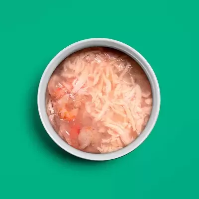 Tigela branca com preparado alimentar desfiado em fundo verde