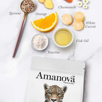 Pacote de comida para gato Amanova com ingredientes naturais (salmão, gengibre, camomila, quinoa, laranja, cenoura branca, óleo de peixe e taurina) dispostos ao redor.