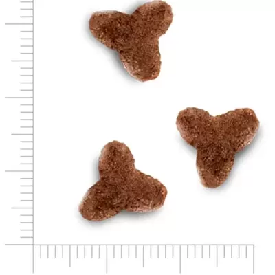 Pedaços de ração castanho escuro tamanho pequeno com régua ao lado para escala