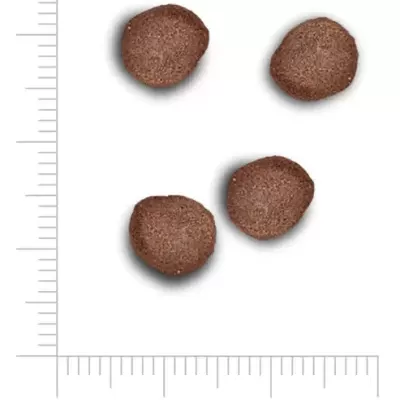 Peças redondas marrons de 7 mm sobre fundo branco com réguas métricas