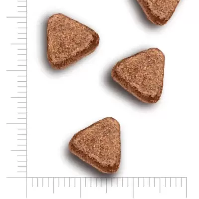 Quatro comprimidos triangulares marrons com textura granulada e escala de tamanho em milímetros.