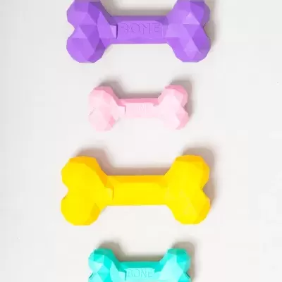 Quatro brinquedos para cães coloridos em forma de ossos com textura facetada e texto BONE