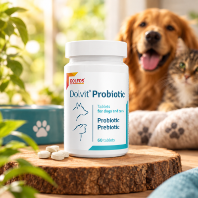Frasco branco de comprimidos Dolvit Probiotic para cães e gatos sobre tronco de madeira com cão e gato ao fundo