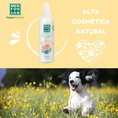 Spray Men For San para cães, embalagem branca e verde, fundo amarelo com texto e cão a correr no campo