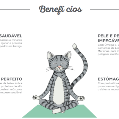 Ilustração de gato cinzento em posição de meditação com texto sobre benefícios para a saúde do gato.