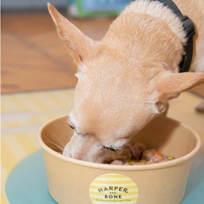 Cachorro a comer de taça de alimentação castanho claro com etiqueta HARPER AND BONE