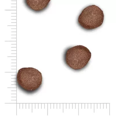 Pequenas bolachas castanhas com régua indicando 7 mm