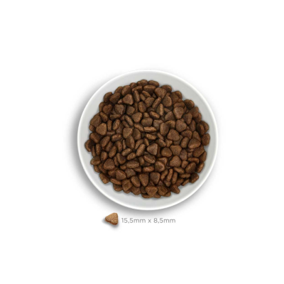 Tigela branca com ração seca triangular marrom para animais, dimensão 15,5mm x 8,5mm