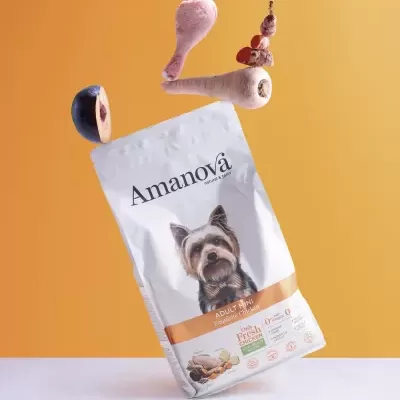 Bolsa branca de ração para cão Amanova Adult Mini com imagem de cão e alimentos variados
