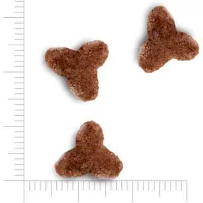 Ração castanha triangular arredondada com régua 12,5x12,5 mm