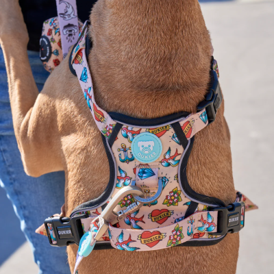 Arnês para cão colorido com padrão de tatuagens clássicas utilizado por cão castanho