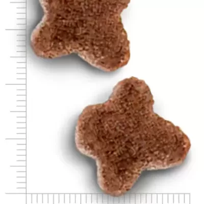 Dois pedaços de ração castanho escuro em forma de cruz arredondada sobre régua graduada