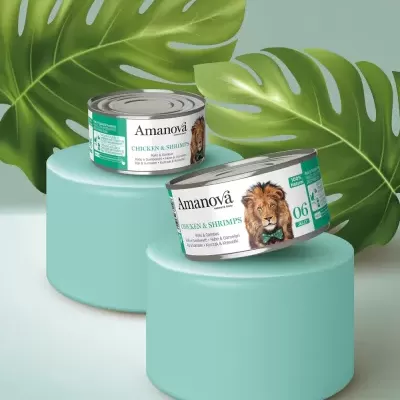 Duas latas de comida para cães Amanová Chicken & Shrimps sobre cilindros azuis com folhas tropicais ao fundo