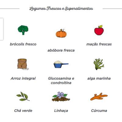 Desenhos de alimentos frescos e superalimentos com nomes em português