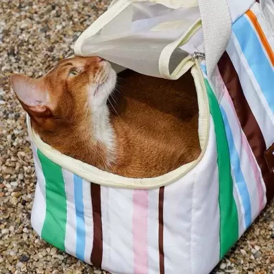 Bolsa de transporte para gatos com riscas coloridas e gato castanho no seu interior