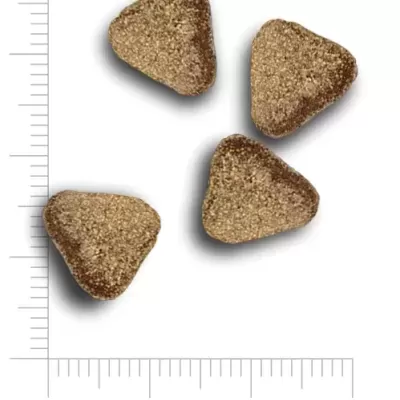 Pequenos pedaços triangulares castanhos com régua mostrando 11mm x 5mm