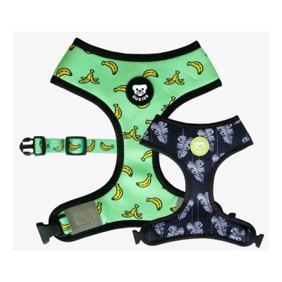 Conjunto de peital e coleira para cães com estampas de bananas e folhas