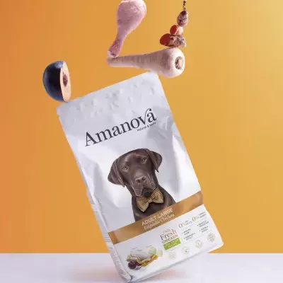 Embalaem de comida para cães Amanova Adult Large com image de cão preto