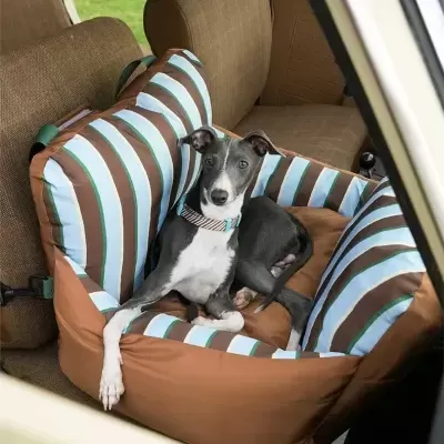 Assento para cães listrado azul, branco e castanho dentro de carro castanho com cão cinzento e branco