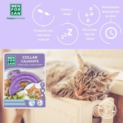 Embalagem de colar calmante MENFORSAN roxo ao lado de gato tigrado adormecido