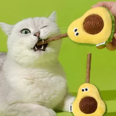 Gato cinzento com brinquedo de pelúcia em forma de abacate amarelo e verde