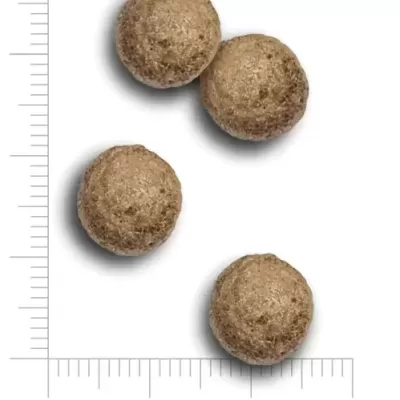 Quatro bolinhas castanho claro com textura rugosa e réguas de medição.