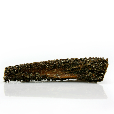 Fragmento de madeira coberto por camada escura e rugosa sobre superfície branca