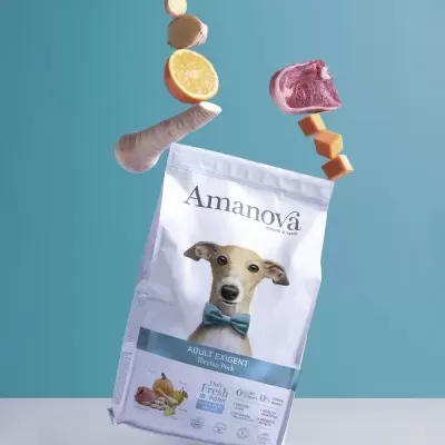 Embalagem de ração para cães Amanova com ingredientes flutuantes sobre fundo azul