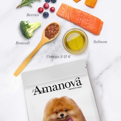 Pacote Amanova Salmon Deluxe para cães com ingredientes frescos ao redor