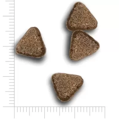 Ração triangular castanha com textura granulada e régua de medição