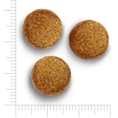 Três comprimidos redondos castanhos com 12 mm de diâmetro sobre escala métrica